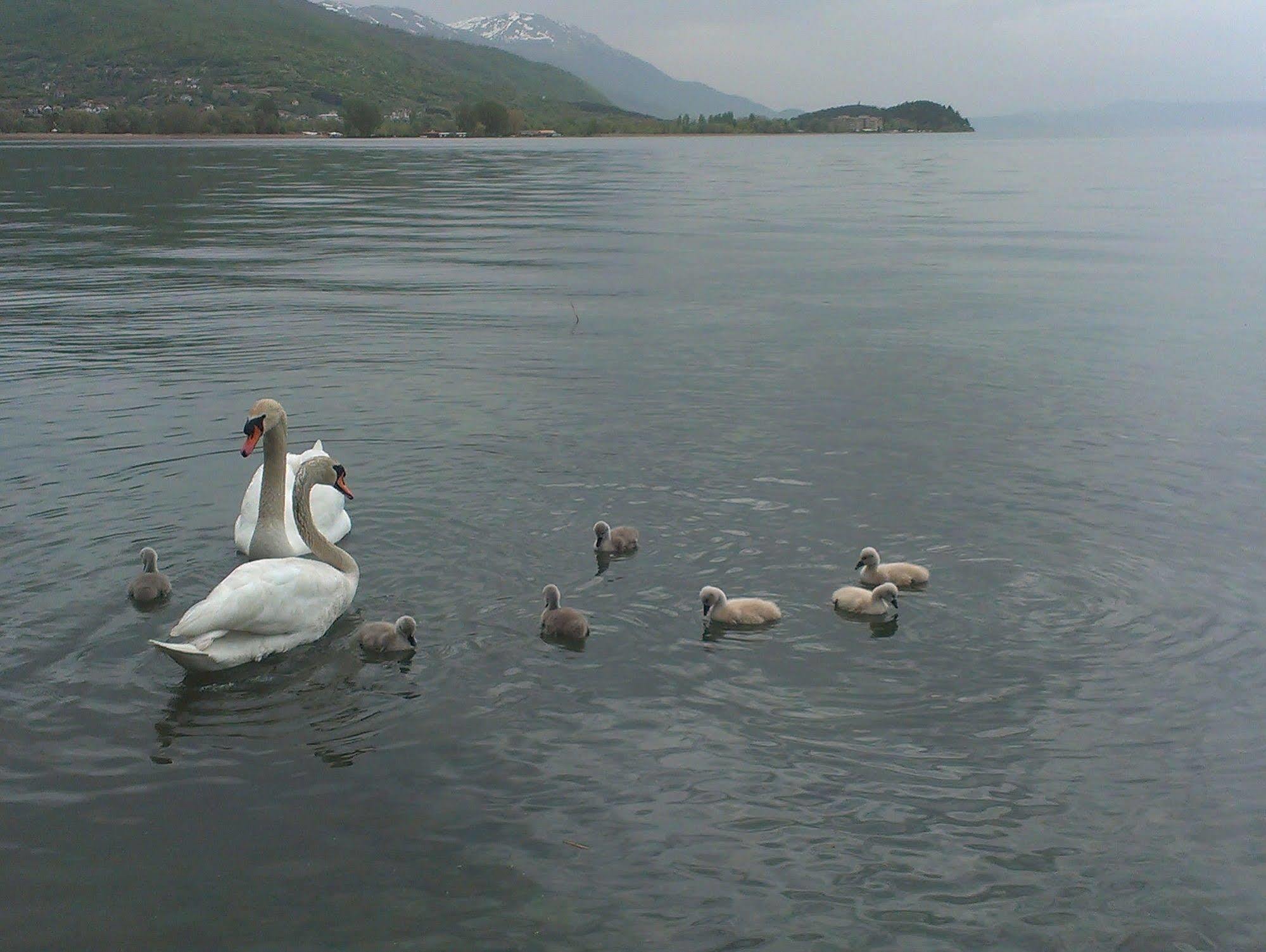 Kosta House Hotel Ohrid Luaran gambar